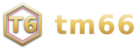 tm66 logo